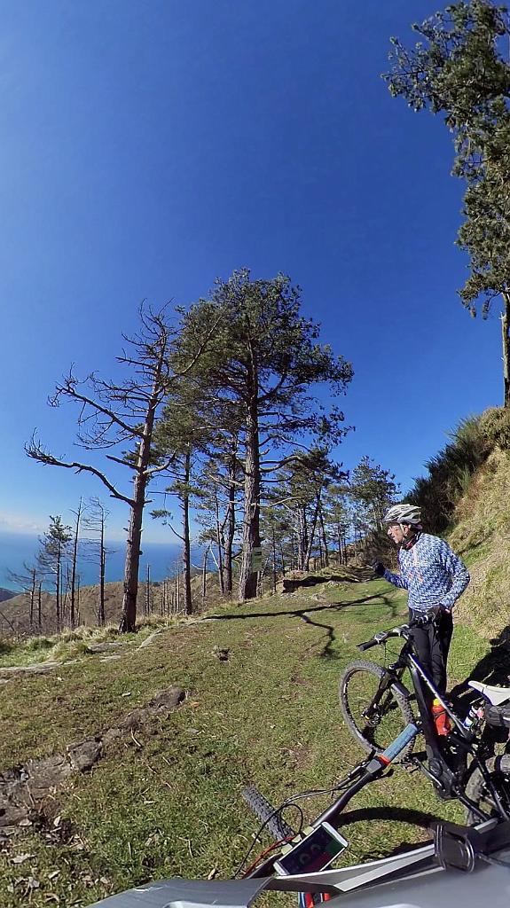 WhatsApp Image 2021-03-14 at 17.37.37.jpeg